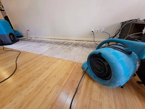 Reliable Basement Flood Cleanup contractor in Hartford, IL by Hirex Water Damage