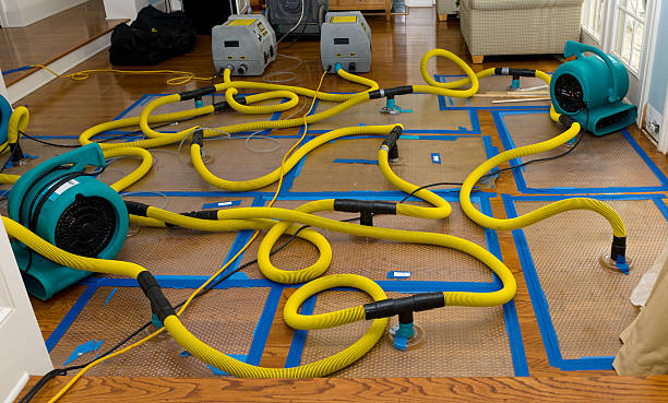 Professional Basement Flood Cleanup technician working in Hartford, IL